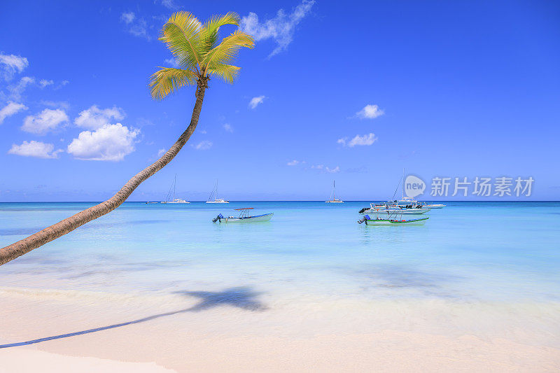 加勒比海Punta Cana - Saona岛的田园诗般的海滩，有小船和游艇